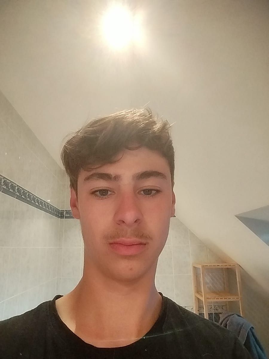 Profil von Albion